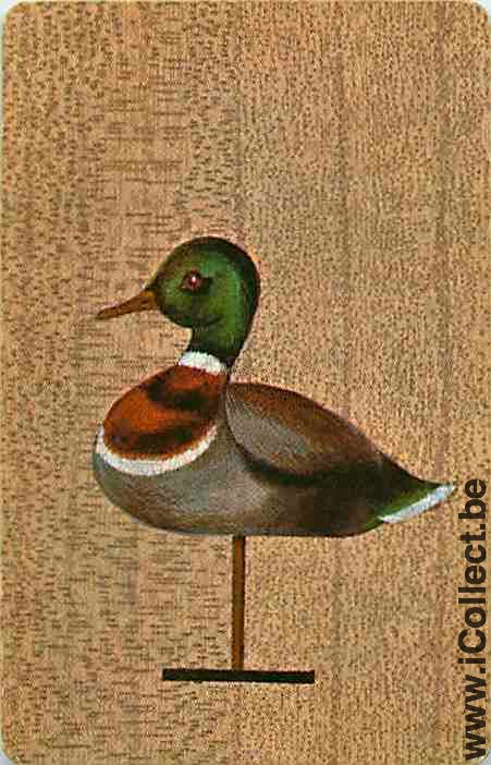 Single Swap Playing Cards Animal Duck (PS10-13B)