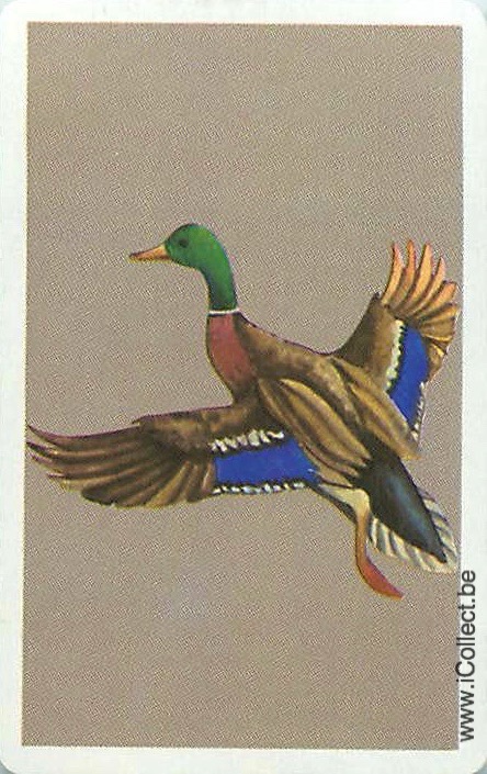 Single Swap Playing Cards Animal Duck (PS21-23C)