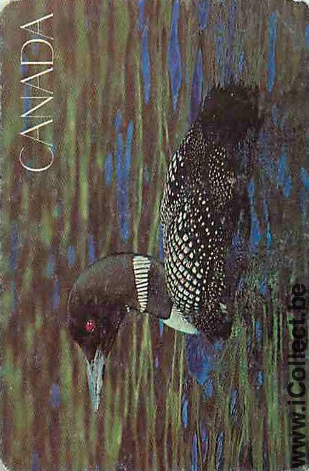 Single Swap Playing Cards Animal Duck Canada (PS10-11D)