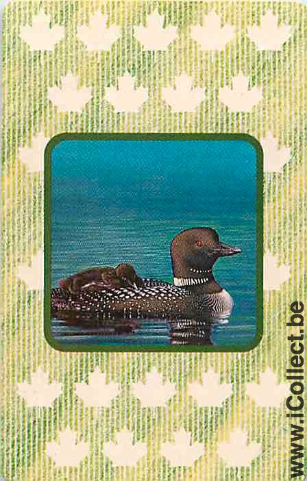 Single Swap Playing Cards Animal Duck (PS10-12H)