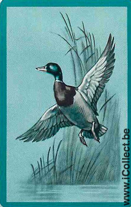 Single Swap Playing Cards Animal Duck (PS10-13G)