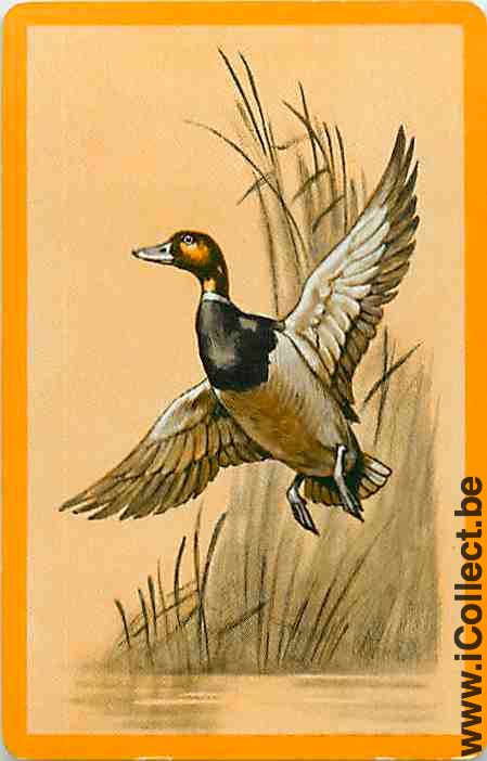 Single Swap Playing Cards Animal Duck (PS10-16C)