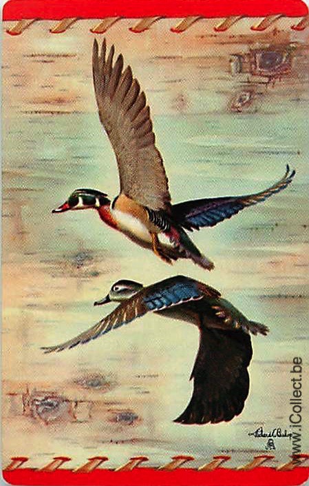 Single Swap Playing Cards Animal Ducks (PS21-24B)