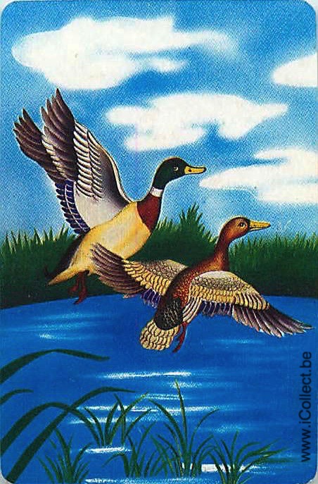 Single Swap Playing Cards Animal Ducks (PS21-24F)