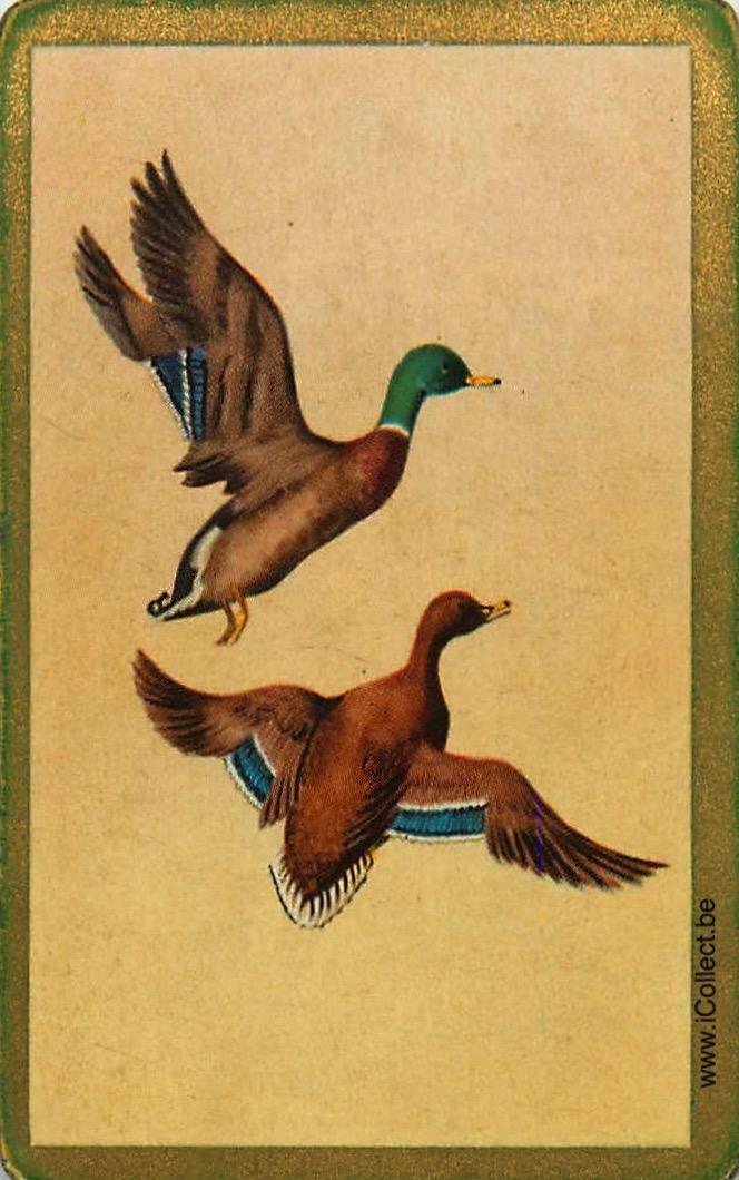 Single Swap Playing Cards Animal Ducks (PS20-42E)