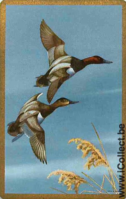 Single Swap Playing Cards Animal Duck (PS10-14D)