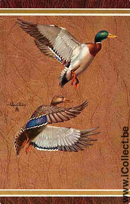 Single Swap Playing Cards Animal Duck (PS10-14F)