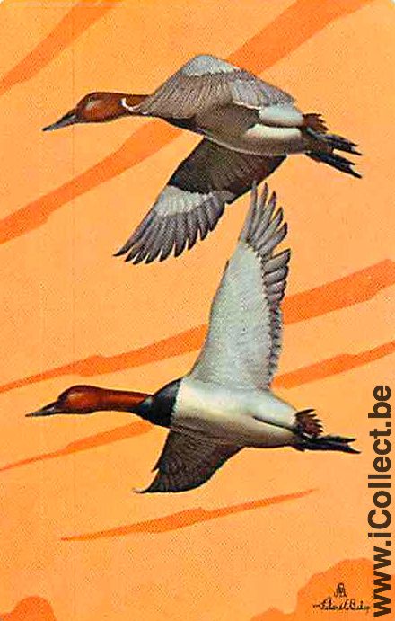 Single Swap Playing Cards Animal Duck (PS10-15F)