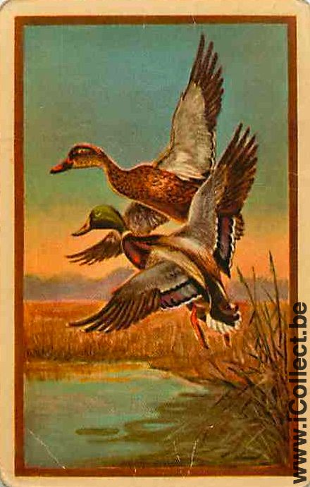 Single Swap Playing Cards Animal Duck (PS10-17F)