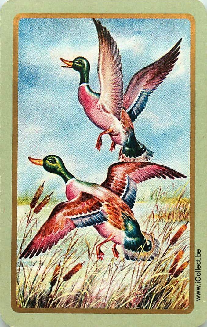 Single Swap Playing Cards Animal Ducks (PS24-15E)