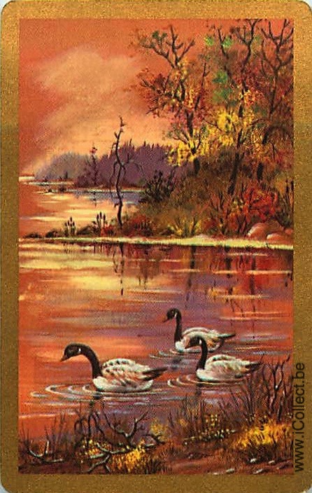 Single Swap Playing Cards Animal Ducks (PS21-25C)