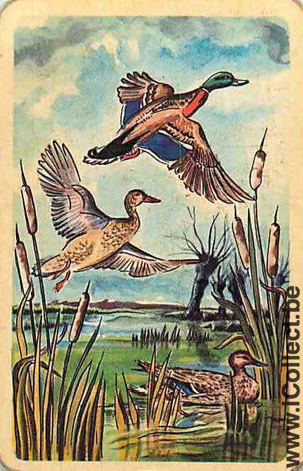 Single Swap Playing Cards Animal Ducks (PS04-59B)