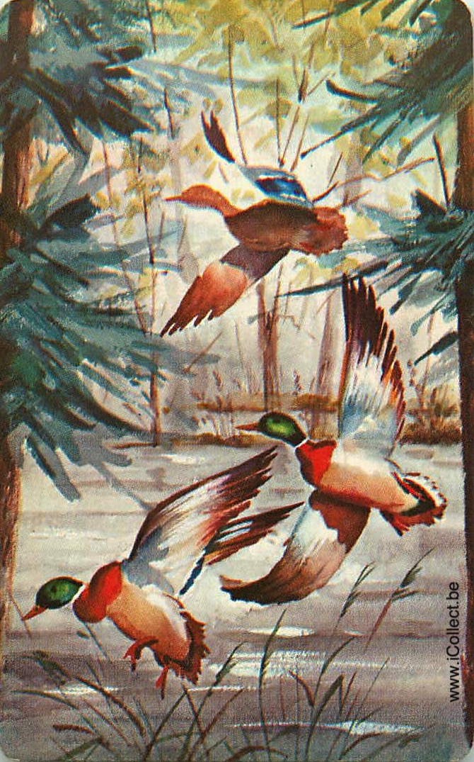 Single Swap Playing Cards Animal Ducks (PS20-44B)