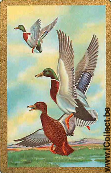 Single Swap Playing Cards Animal Duck (PS10-11H)