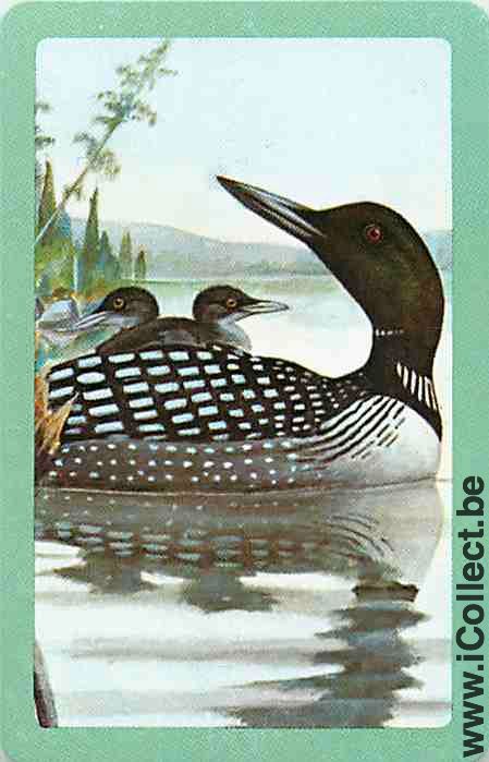 Single Swap Playing Cards Animal Duck (PS10-14E)