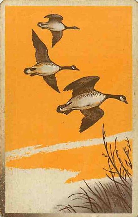 Single Swap Playing Cards Animal Duck (PS10-16H)