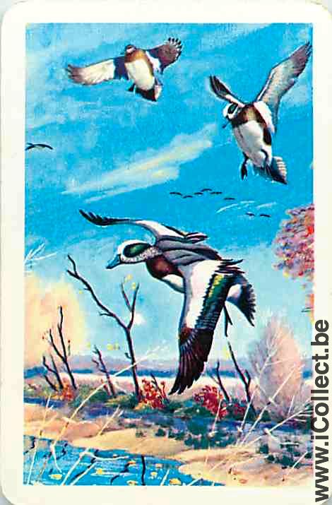 Single Swap Playing Cards Animal Duck (PS10-18D)