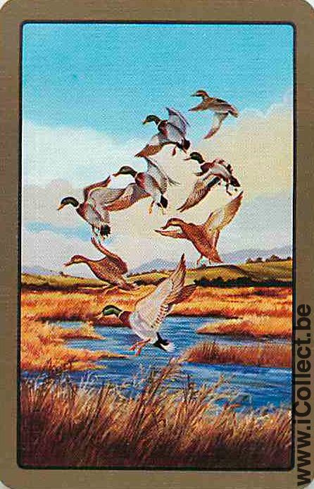 Single Swap Playing Cards Animal Ducks (PS06-18E)