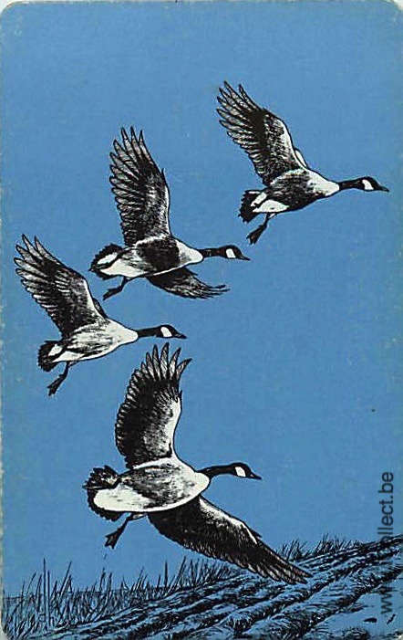 Single Swap Playing Cards Animal Ducks (PS21-25D)