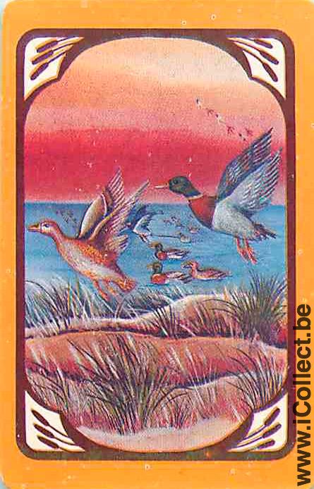 Single Swap Playing Cards Animal Duck (PS10-14B)