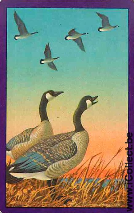 Single Swap Playing Cards Animal Duck (PS02-54H)