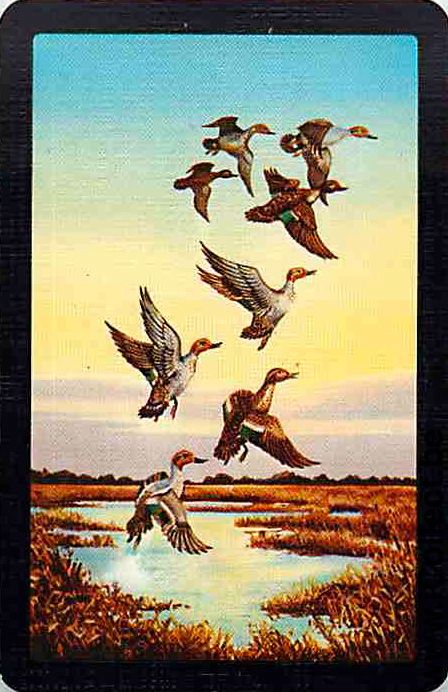 Single Swap Playing Cards Animal Duck (PS10-17G)