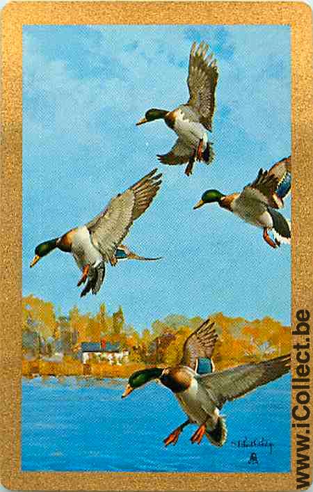 Single Swap Playing Cards Animal Duck (PS10-18A)