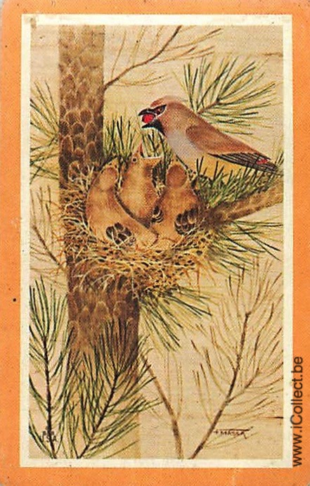 Single Swap Playing Cards Bird Birds (PS19-02E)