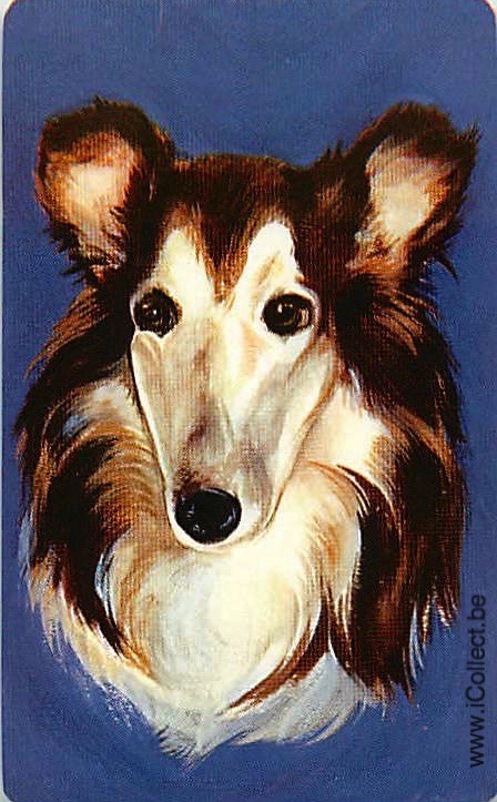Single Swap Playing Cards Dog Shelties (PS21-47G) - Click Image to Close