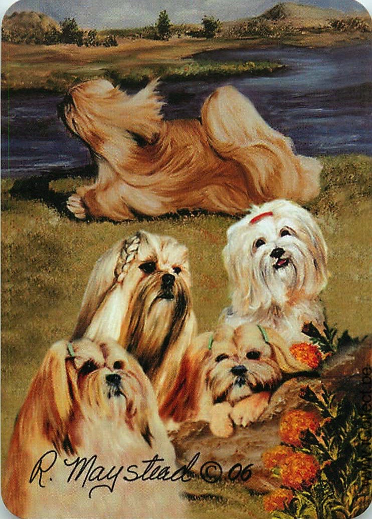 Single Swap Playing Cards Dog Shih Tzus (PS09-15B)